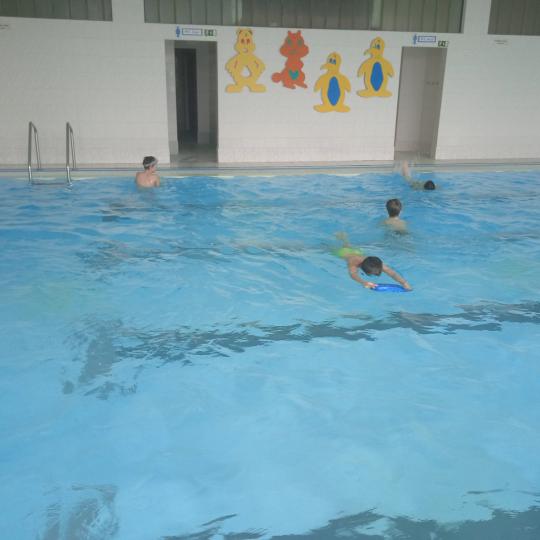 Plavání 5